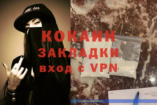 твердый Абаза