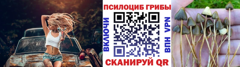 закладка  mega маркетплейс  Галлюциногенные грибы GOLDEN TEACHER  Южа 